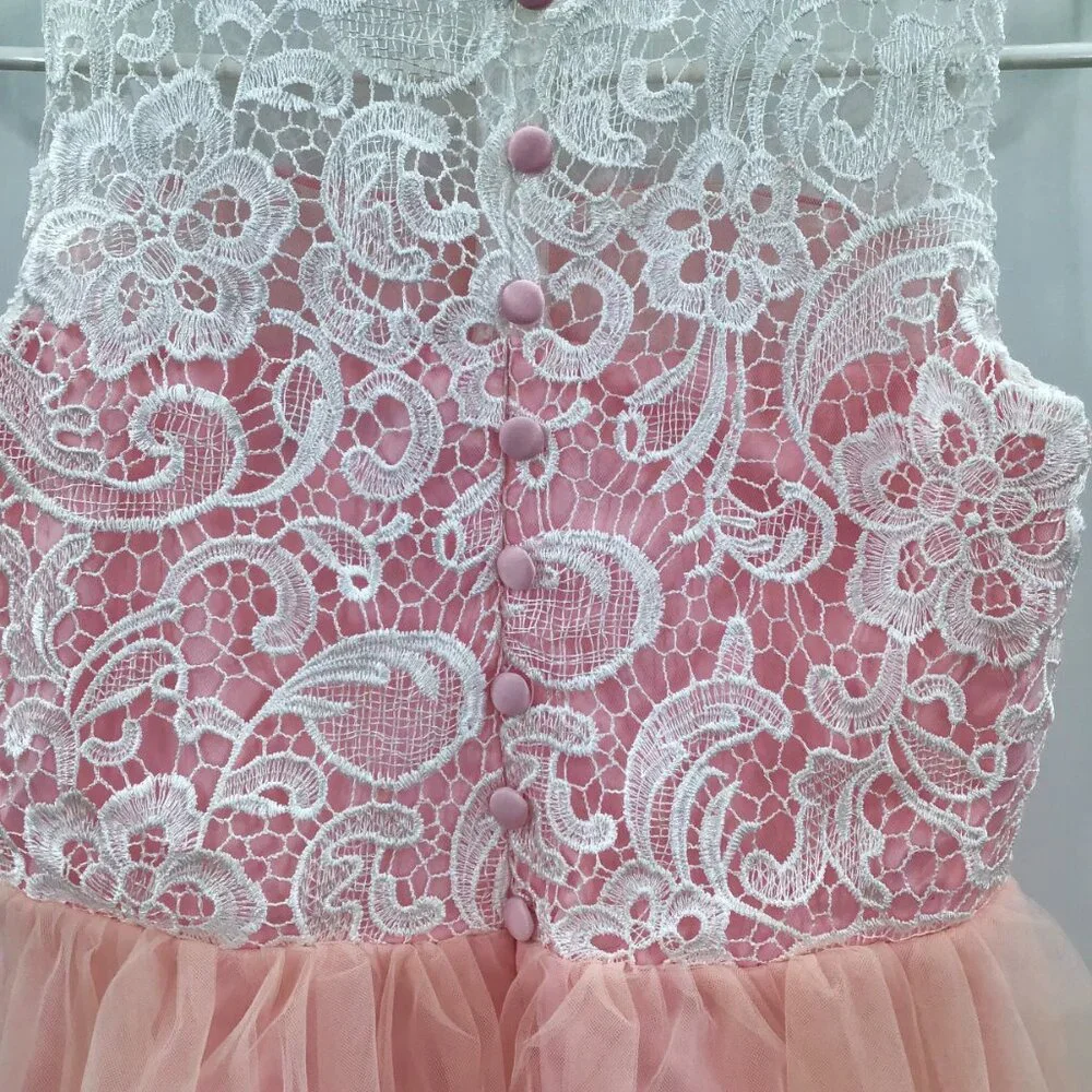 Pink Party Dress for a Princess! White Lace Tulle Ballgown Easter Flower Girl - Picture 9 of 15